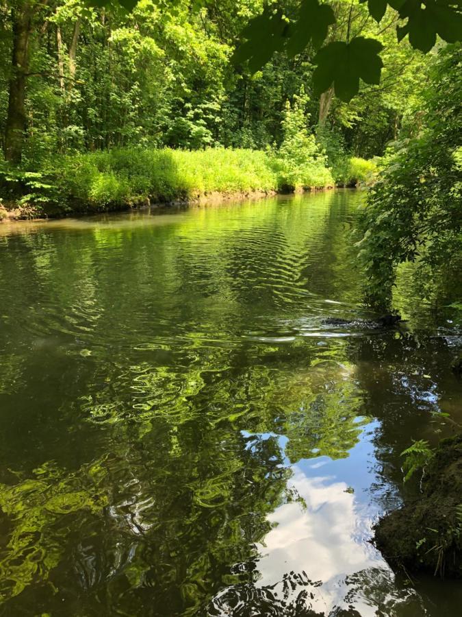 לייכלינגן Gartenblick מראה חיצוני תמונה