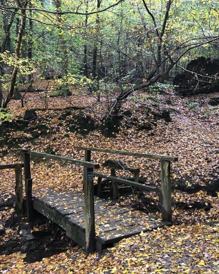 לייכלינגן Gartenblick מראה חיצוני תמונה