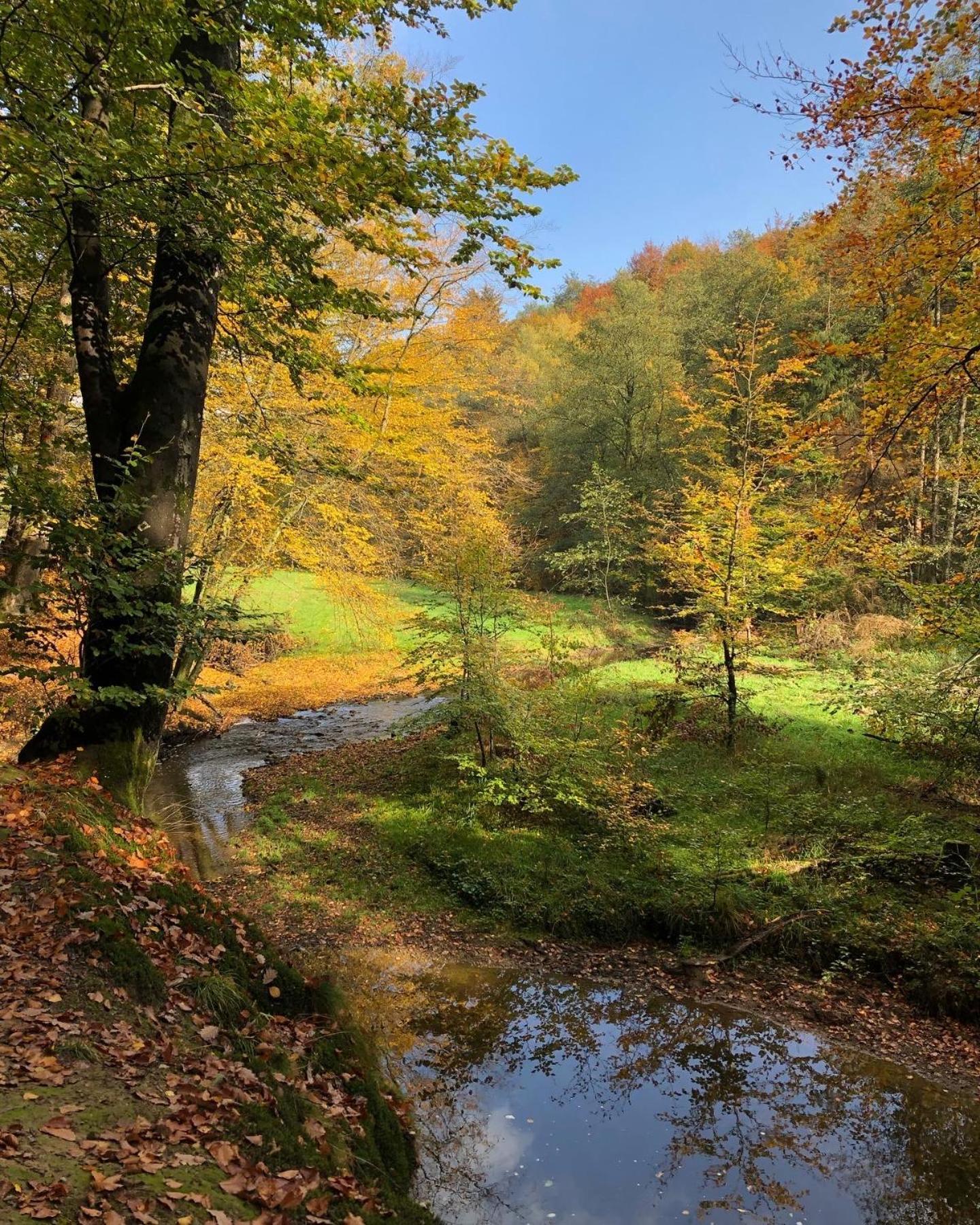 לייכלינגן Gartenblick מראה חיצוני תמונה