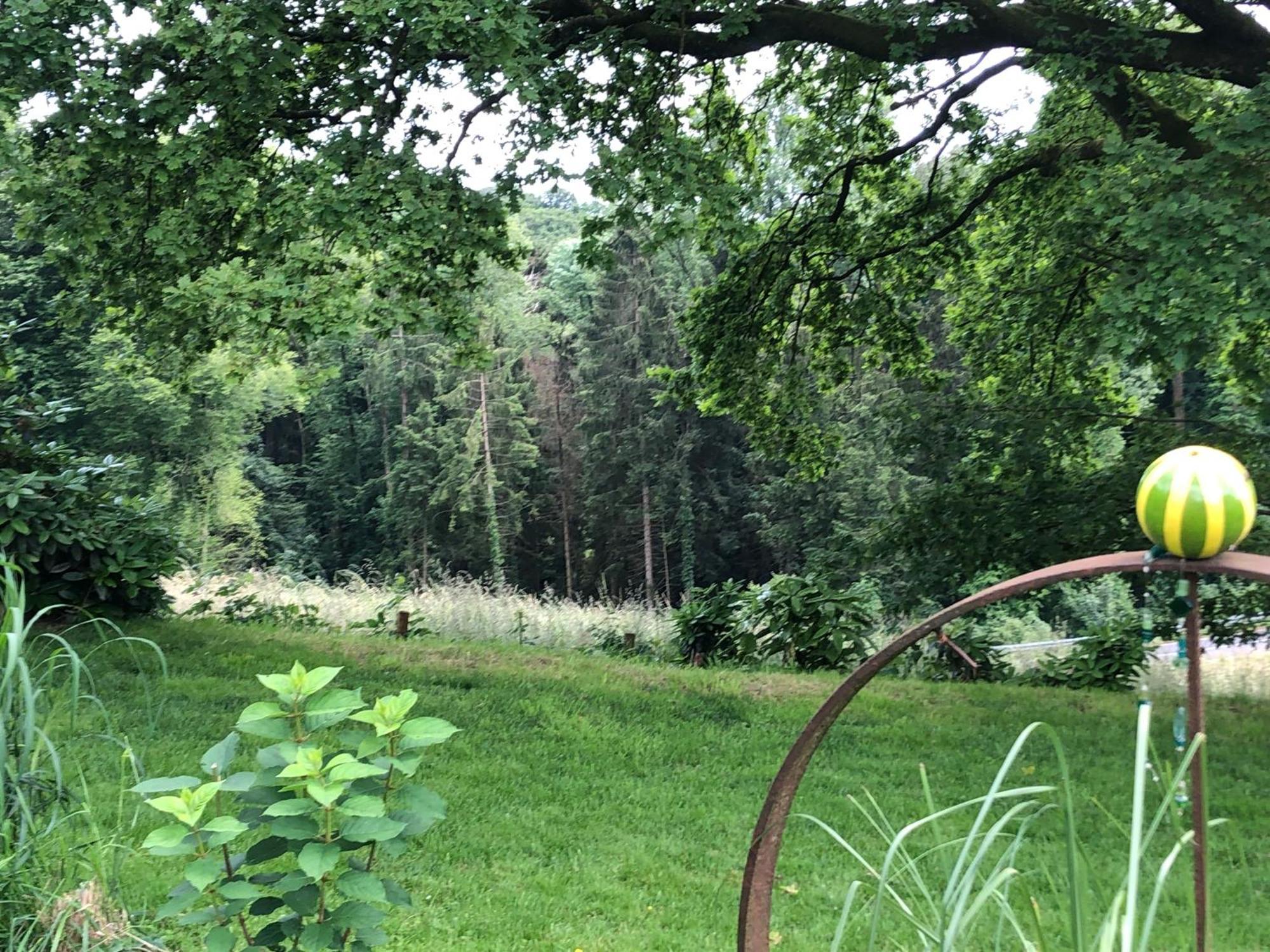 לייכלינגן Gartenblick מראה חיצוני תמונה